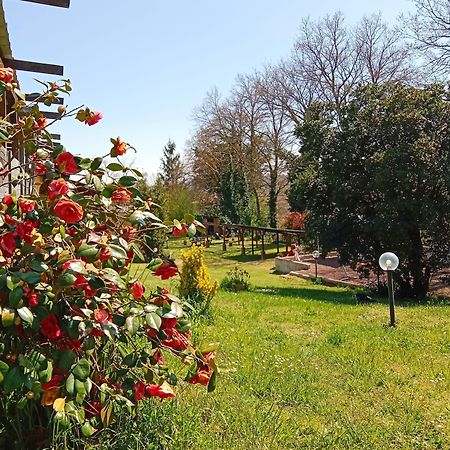 La Grotta Bed And Breakfast Castel Giorgio Zewnętrze zdjęcie